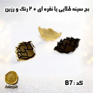 بج سینه2